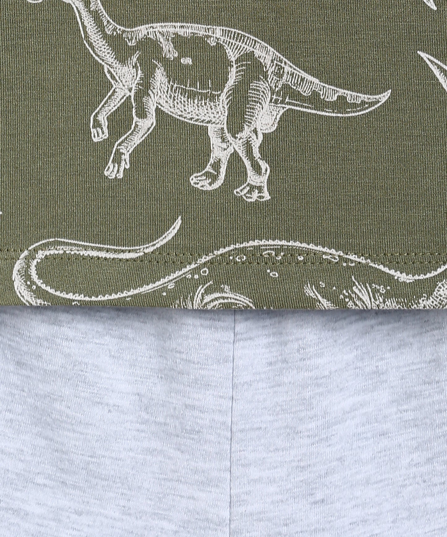 Baby Co Ord Set T Shirts & Expandable Shorts Green Dino Printed/Grey Mileange